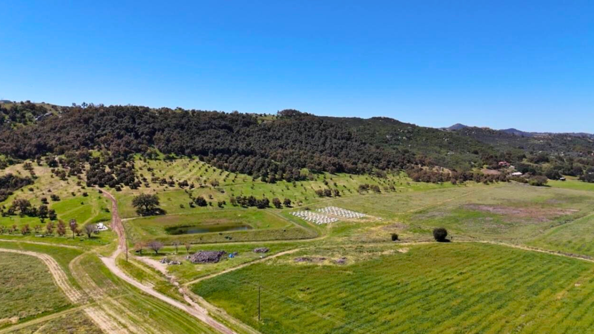 Local farmers working in harmony with nature